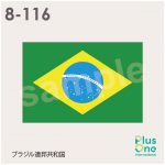 ブラジル連邦共和国の国旗
